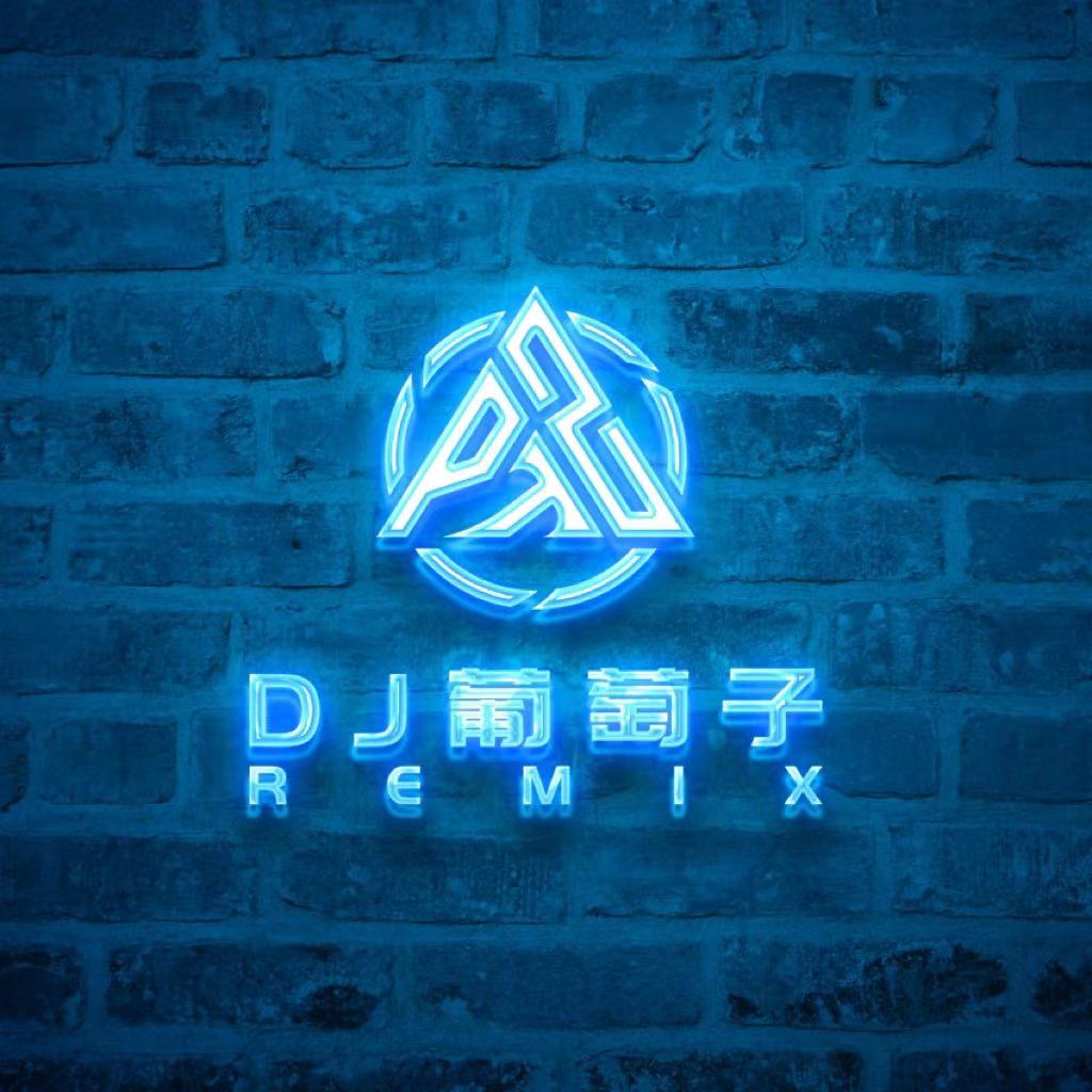 Dj葡萄子Remix